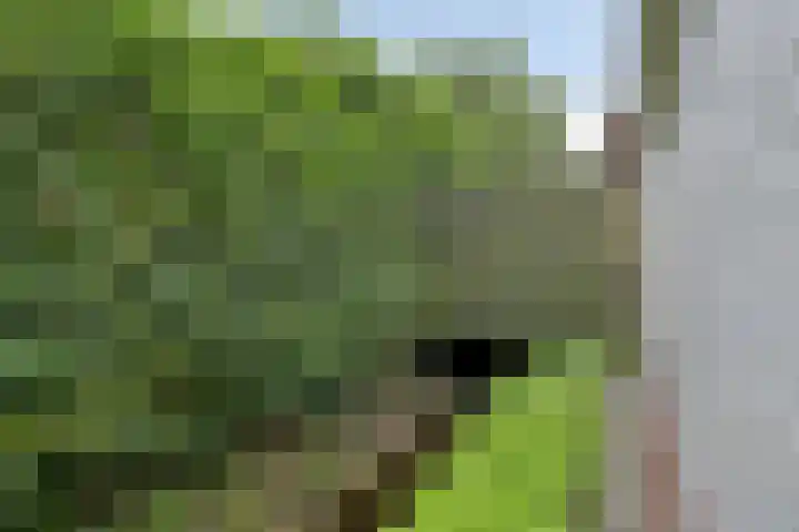 Polderweg 23 Annerveenschekanaal thumbnail 58