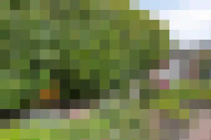 Polderweg 23 Annerveenschekanaal thumbnail 59