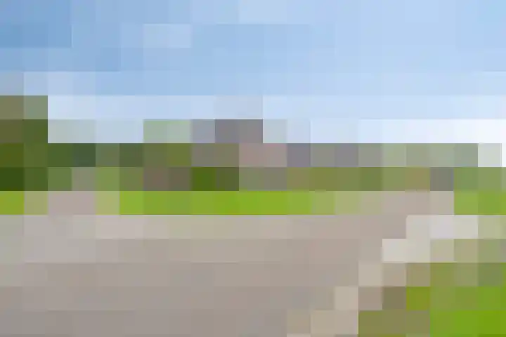 Polderweg 23 Annerveenschekanaal thumbnail 62