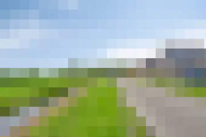 Polderweg 23 Annerveenschekanaal thumbnail 63