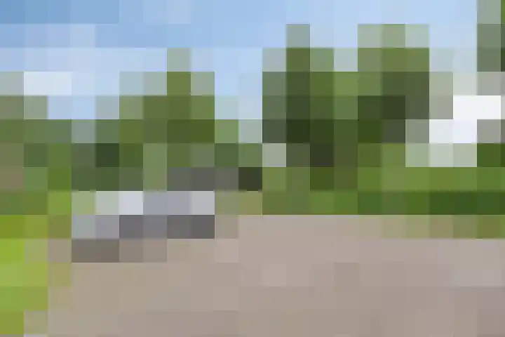 Polderweg 23 Annerveenschekanaal thumbnail 64