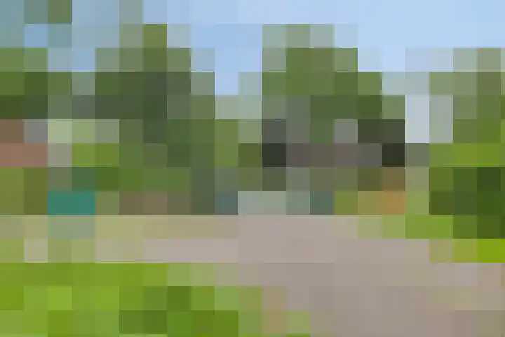 Polderweg 23 Annerveenschekanaal thumbnail 65