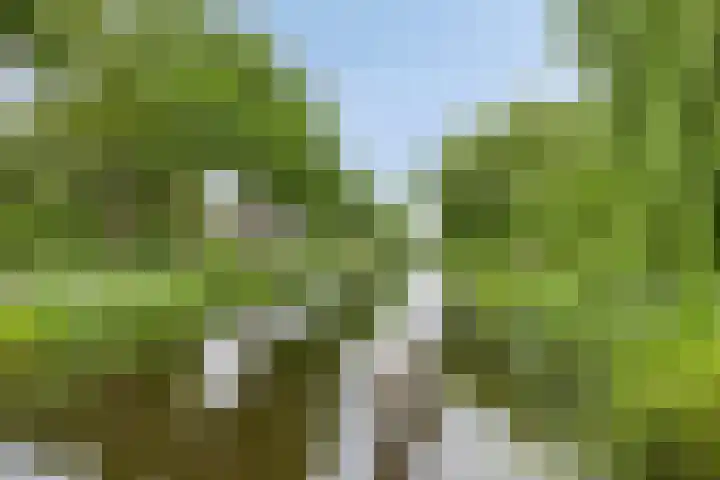 Polderweg 23 Annerveenschekanaal thumbnail 66