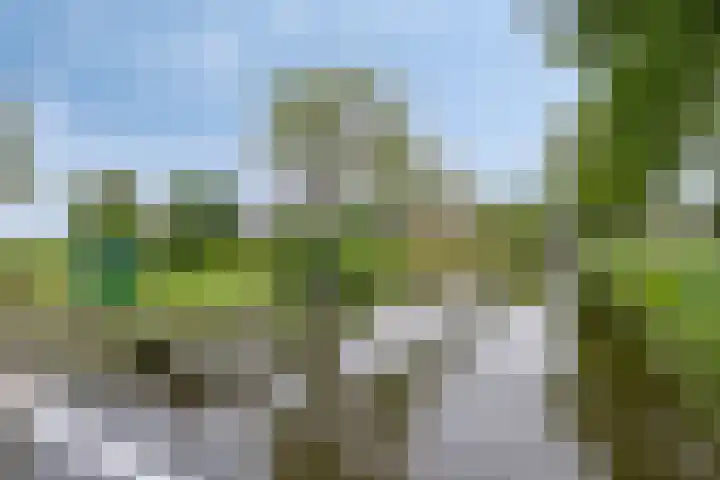 Polderweg 23 Annerveenschekanaal thumbnail 67
