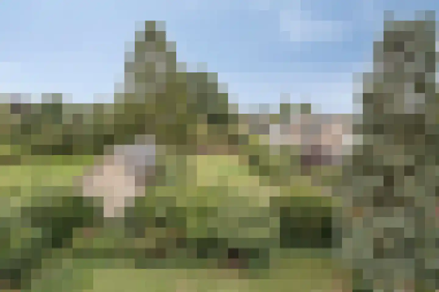 Polderweg 24 a Asten thumbnail 33