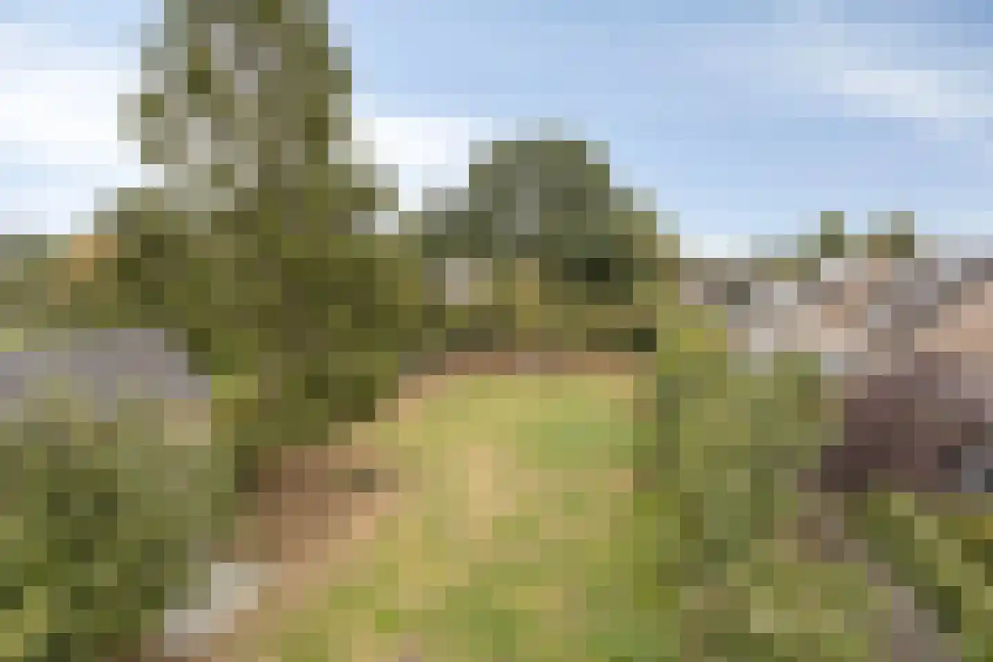 Polderweg 24 a Asten thumbnail 34