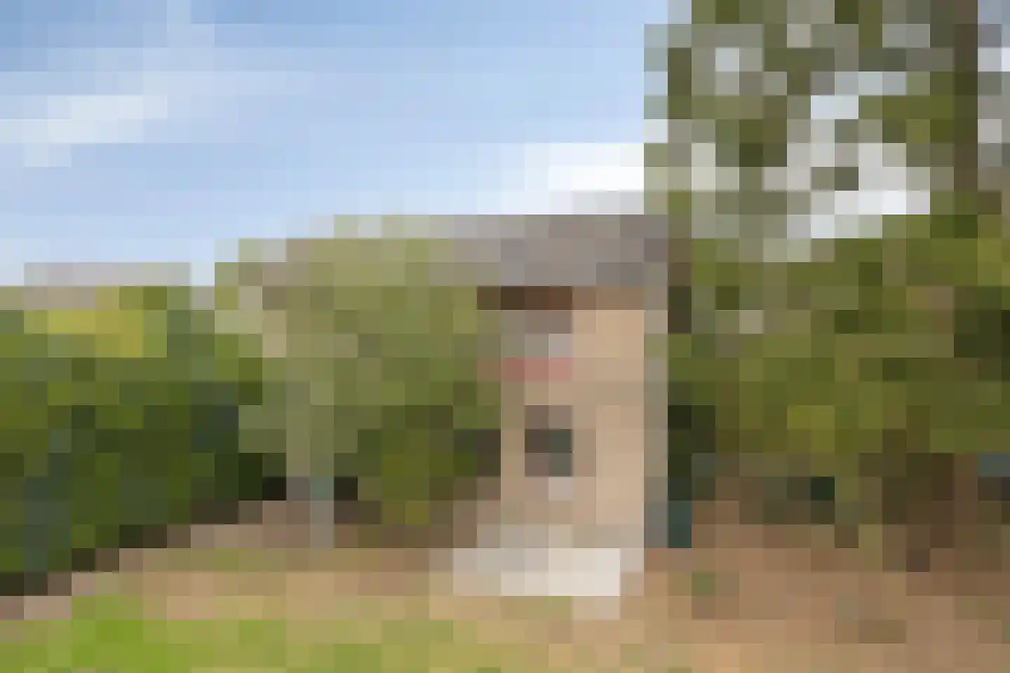 Polderweg 24 a Asten thumbnail 36