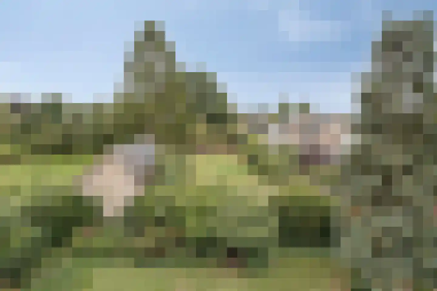 Polderweg 24 a Asten thumbnail 5