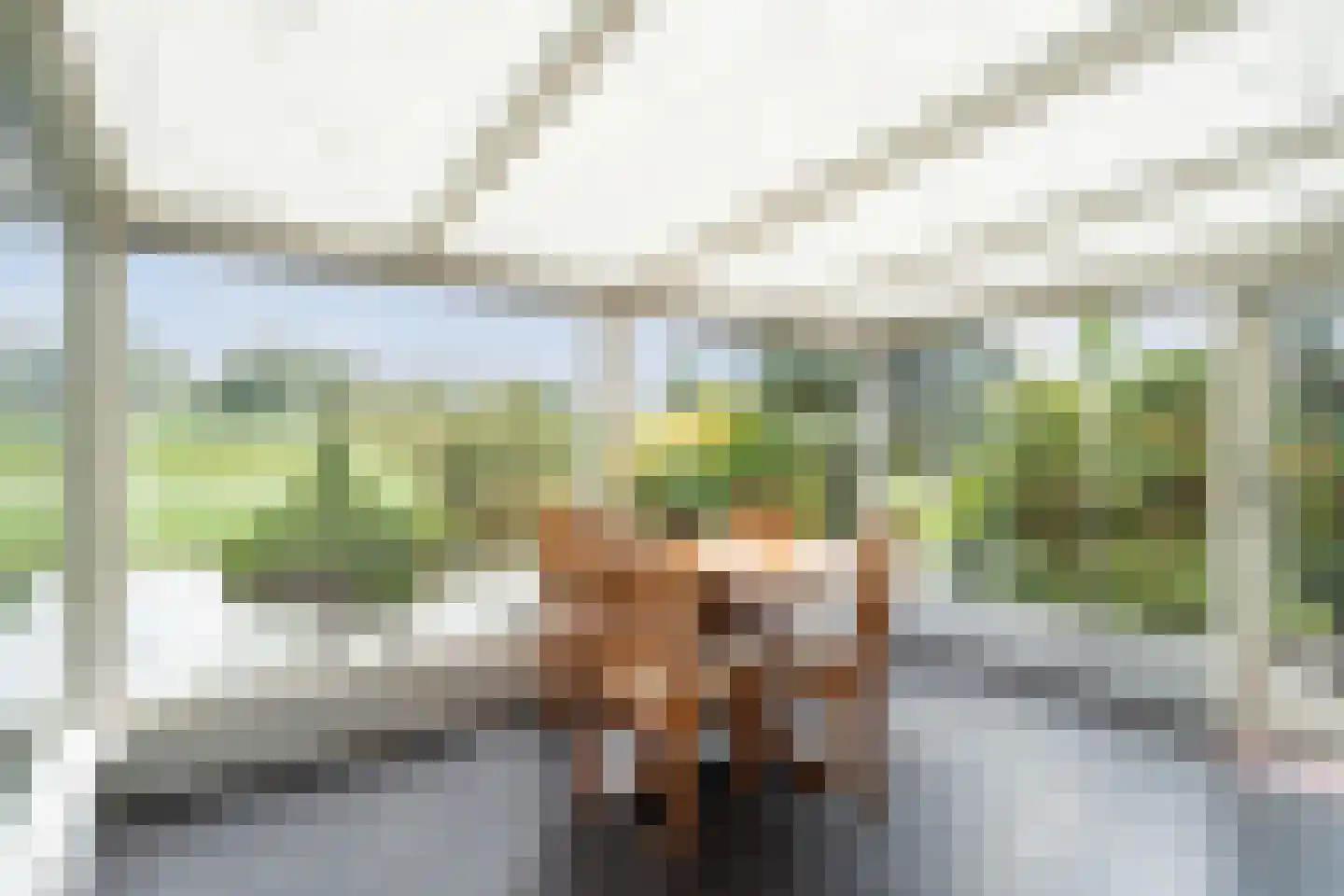 Polderweg 24 Pijnacker thumbnail 13