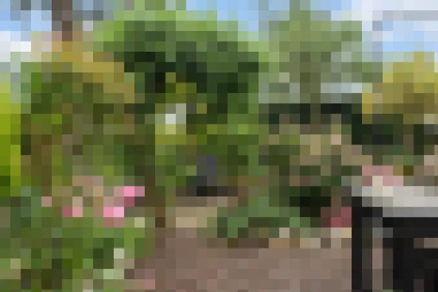 Polderweg 24 Pijnacker thumbnail 29