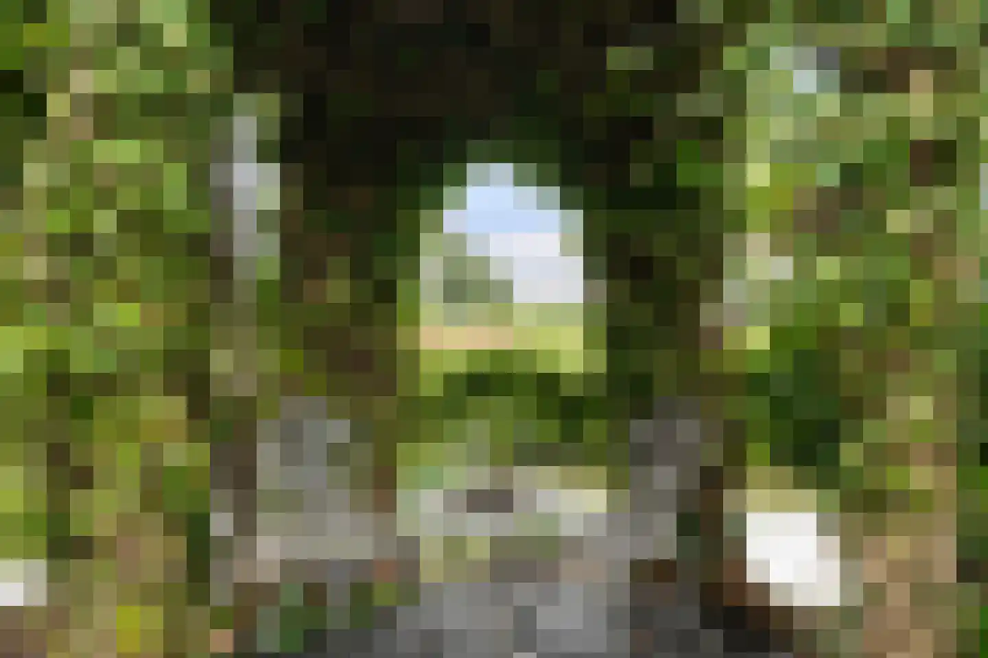 Polderweg 24 Pijnacker thumbnail 30