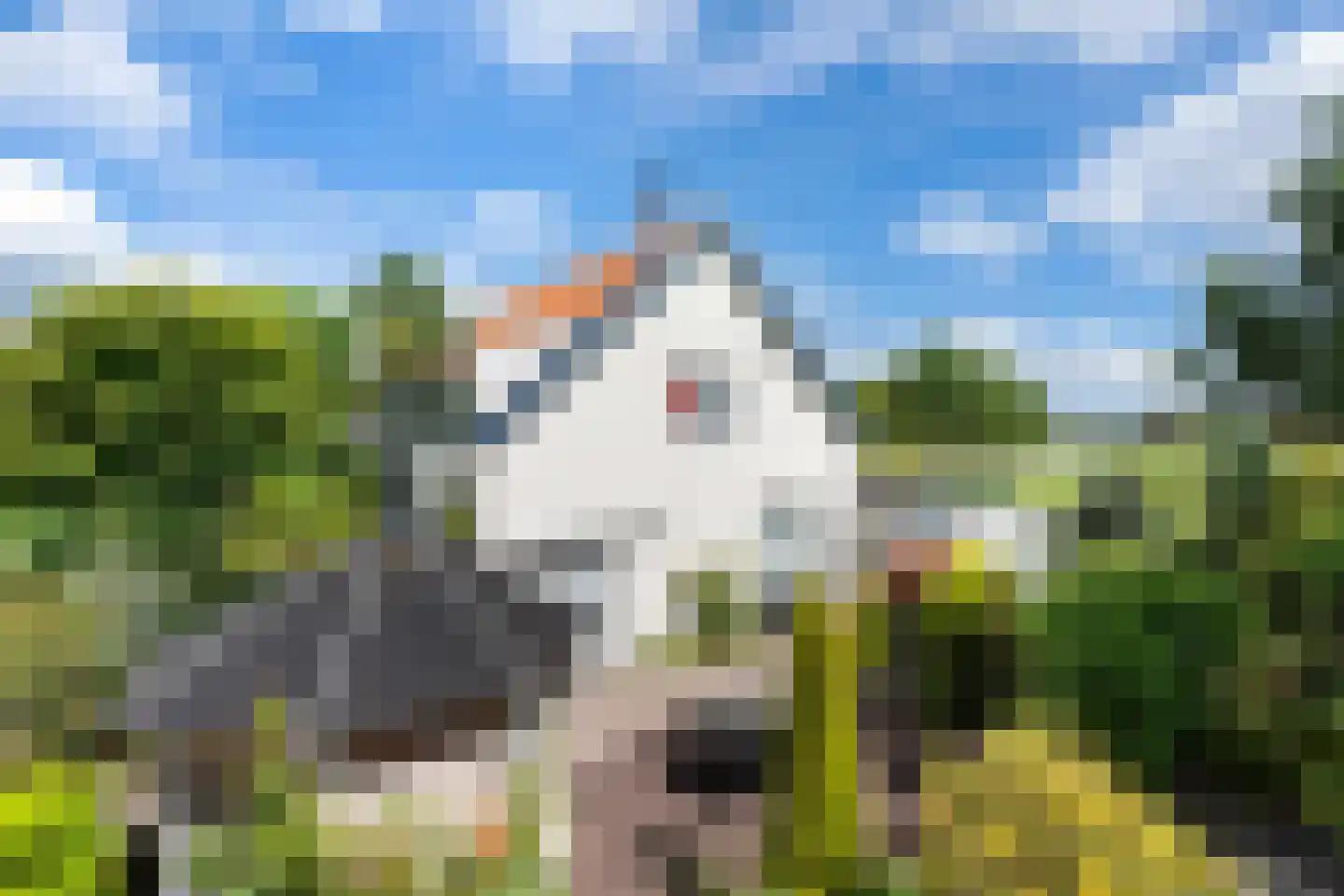 Polderweg 24 Pijnacker thumbnail 34