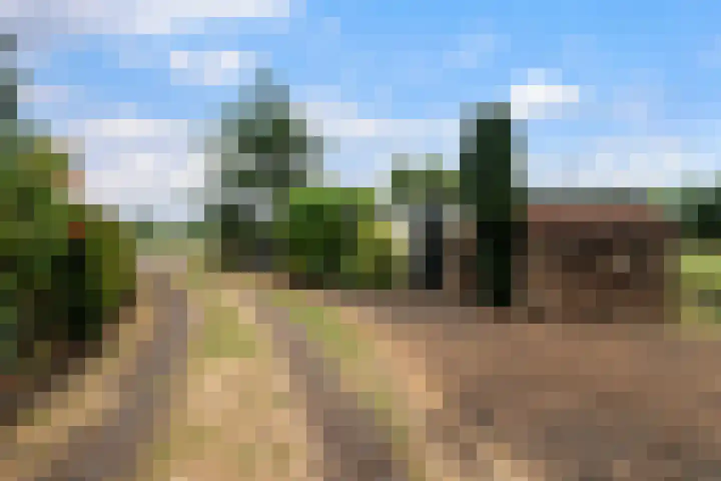 Polderweg 24 Pijnacker thumbnail 37