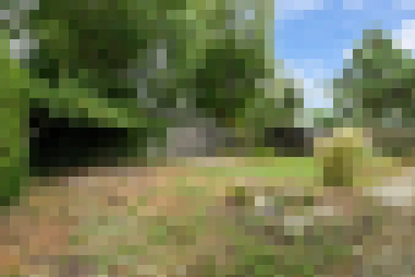 Polderweg 24 Pijnacker thumbnail 41