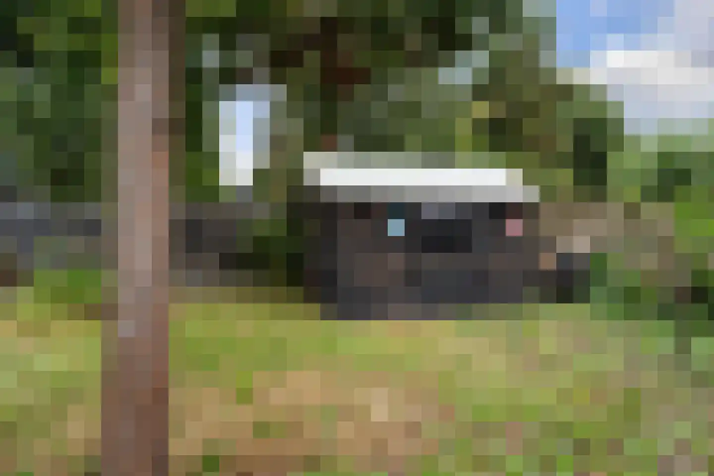 Polderweg 24 Pijnacker thumbnail 43