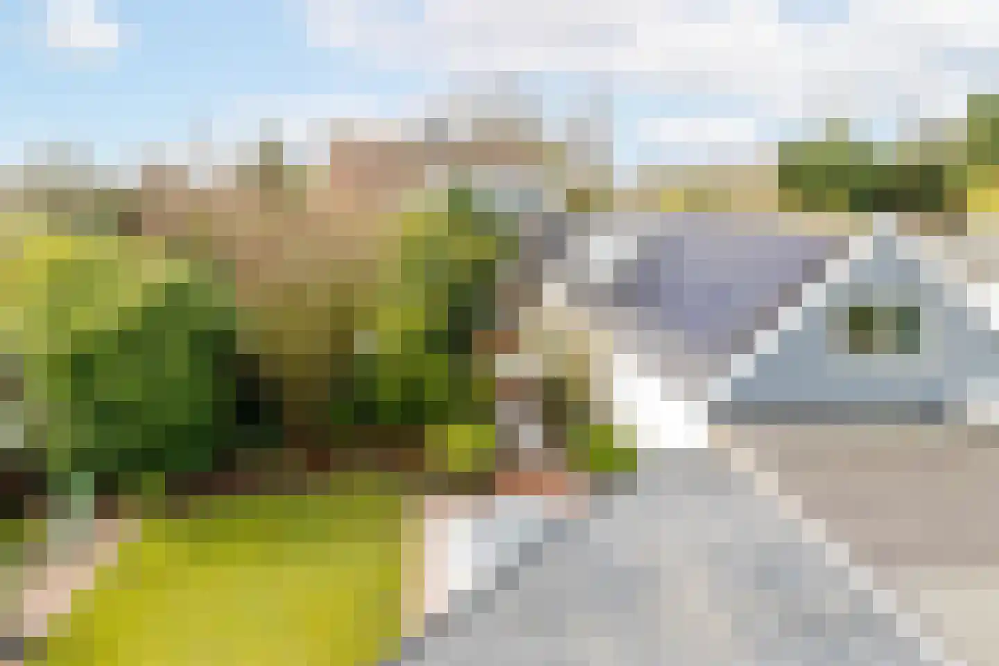 Polderweg 258 Schiedam thumbnail 4
