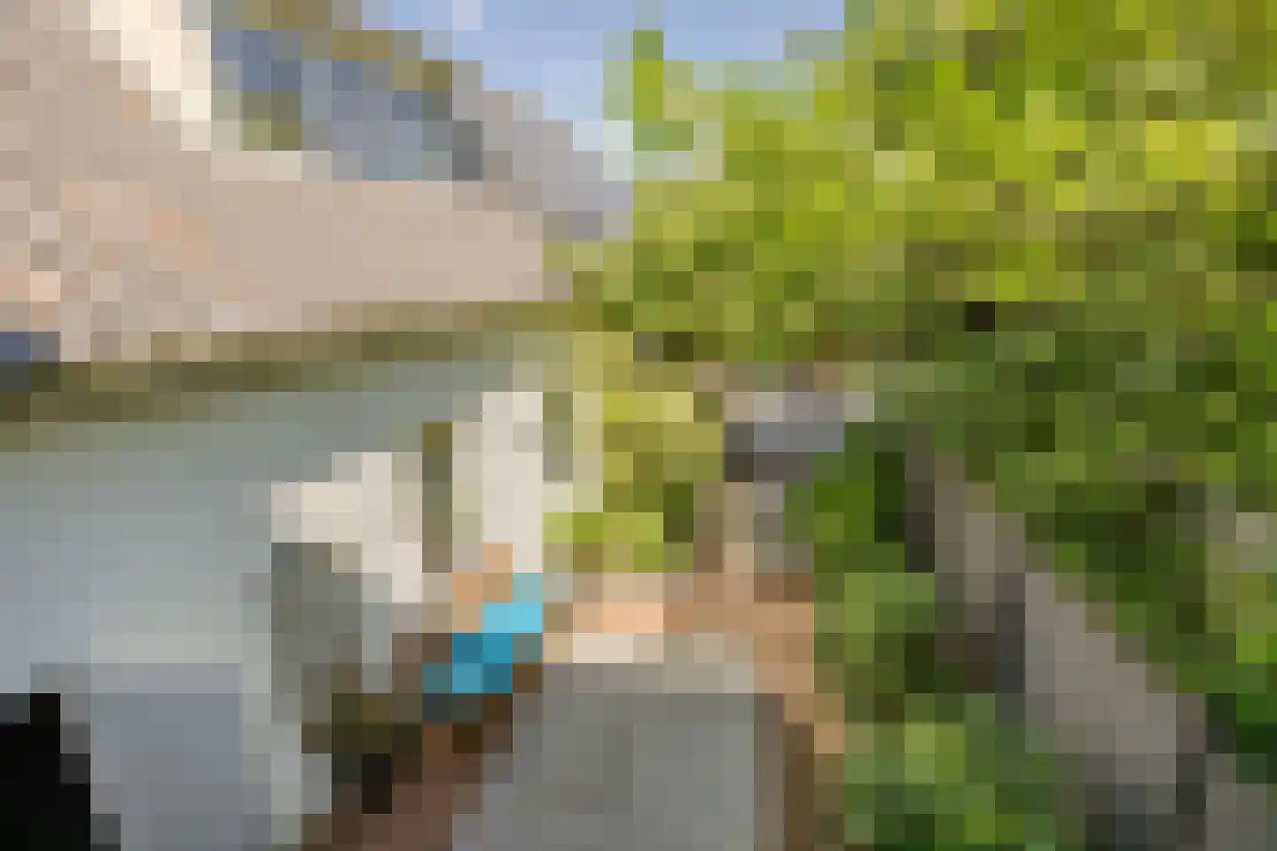 Polderweg 258 Schiedam thumbnail 46