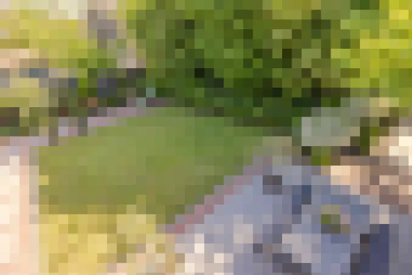 Polderweg 258 Schiedam thumbnail 47