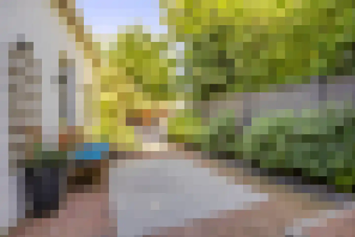 Polderweg 258 Schiedam thumbnail 48