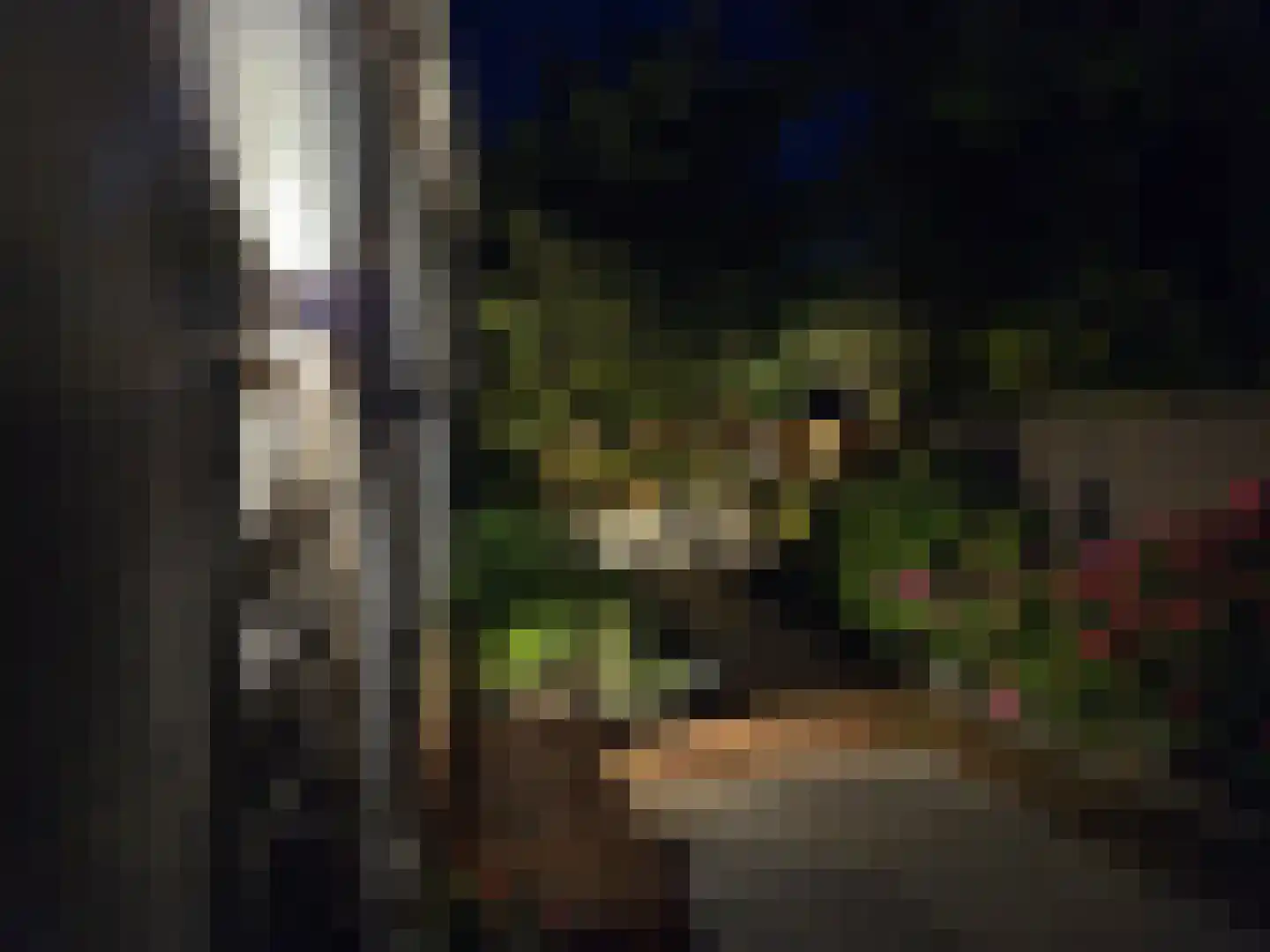 Polderweg 258 Schiedam thumbnail 59
