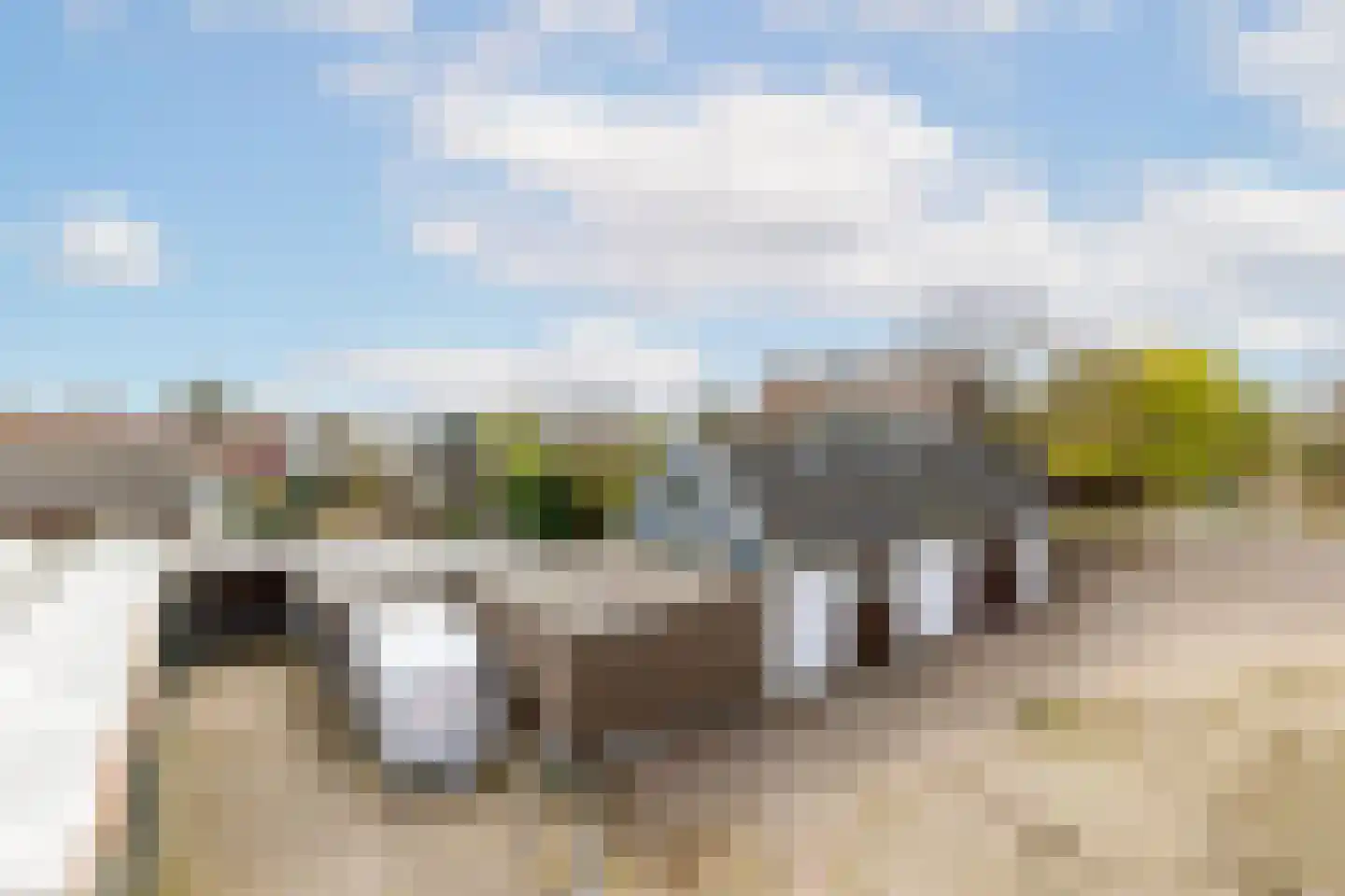 Polderweg 258 Schiedam thumbnail 63
