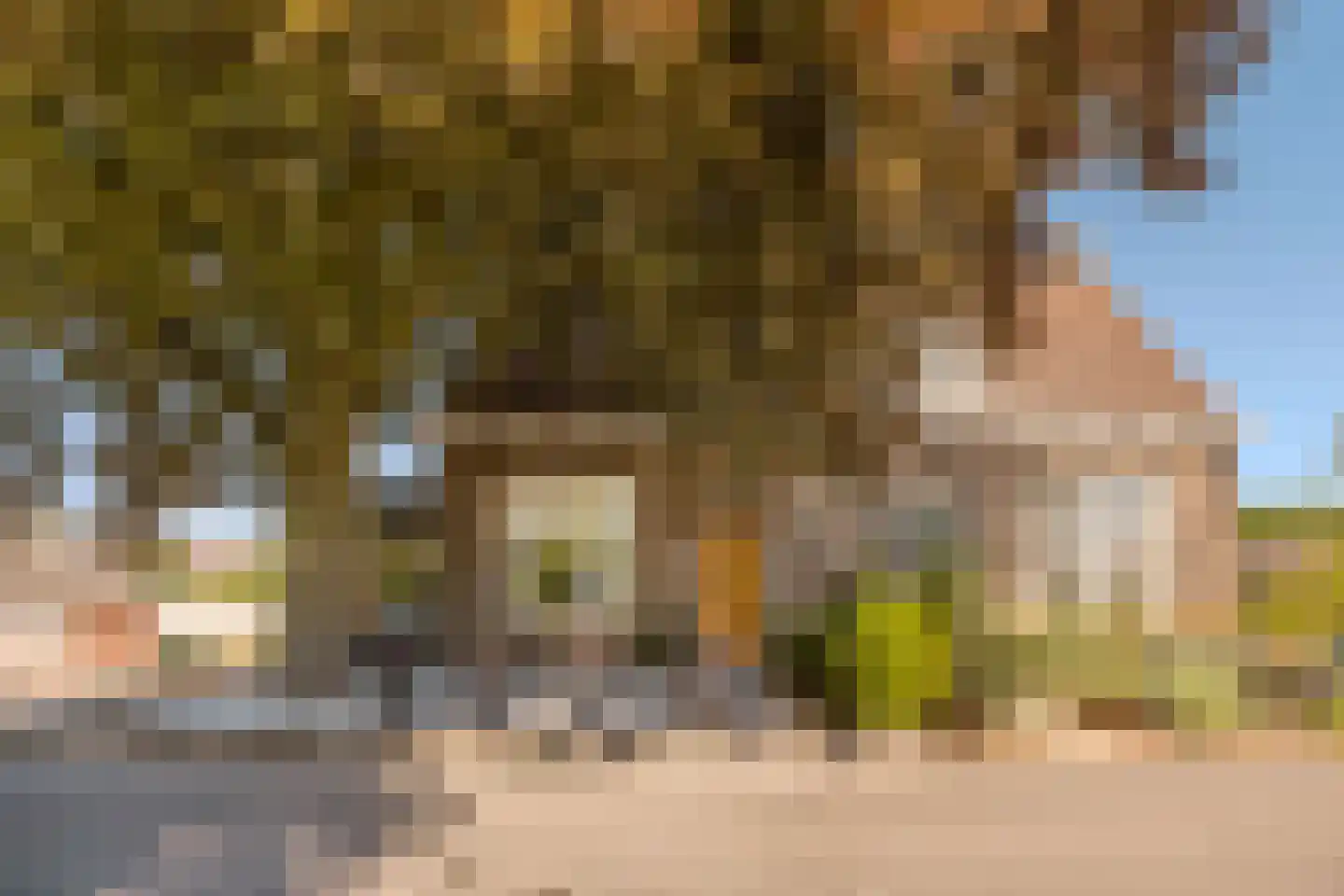 Polderweg 258 Schiedam thumbnail 7