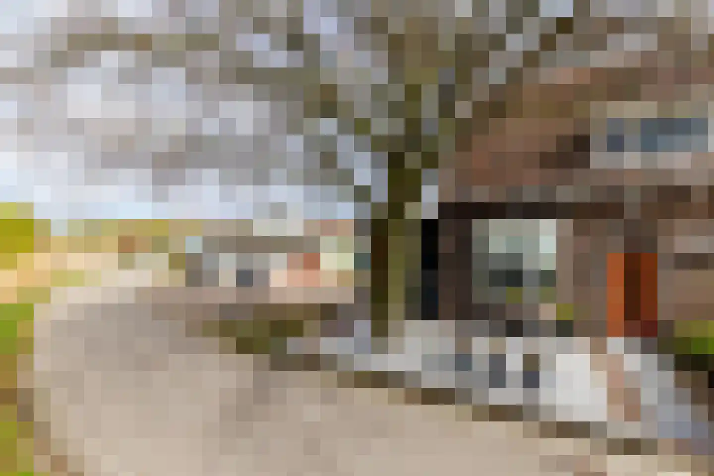 Polderweg 258 Schiedam thumbnail 77