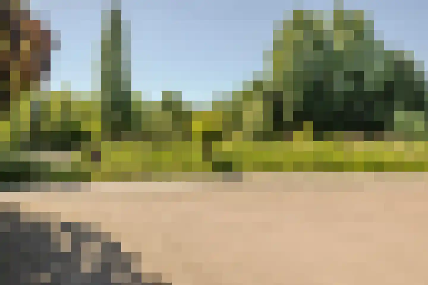 Polderweg 258 Schiedam thumbnail 79