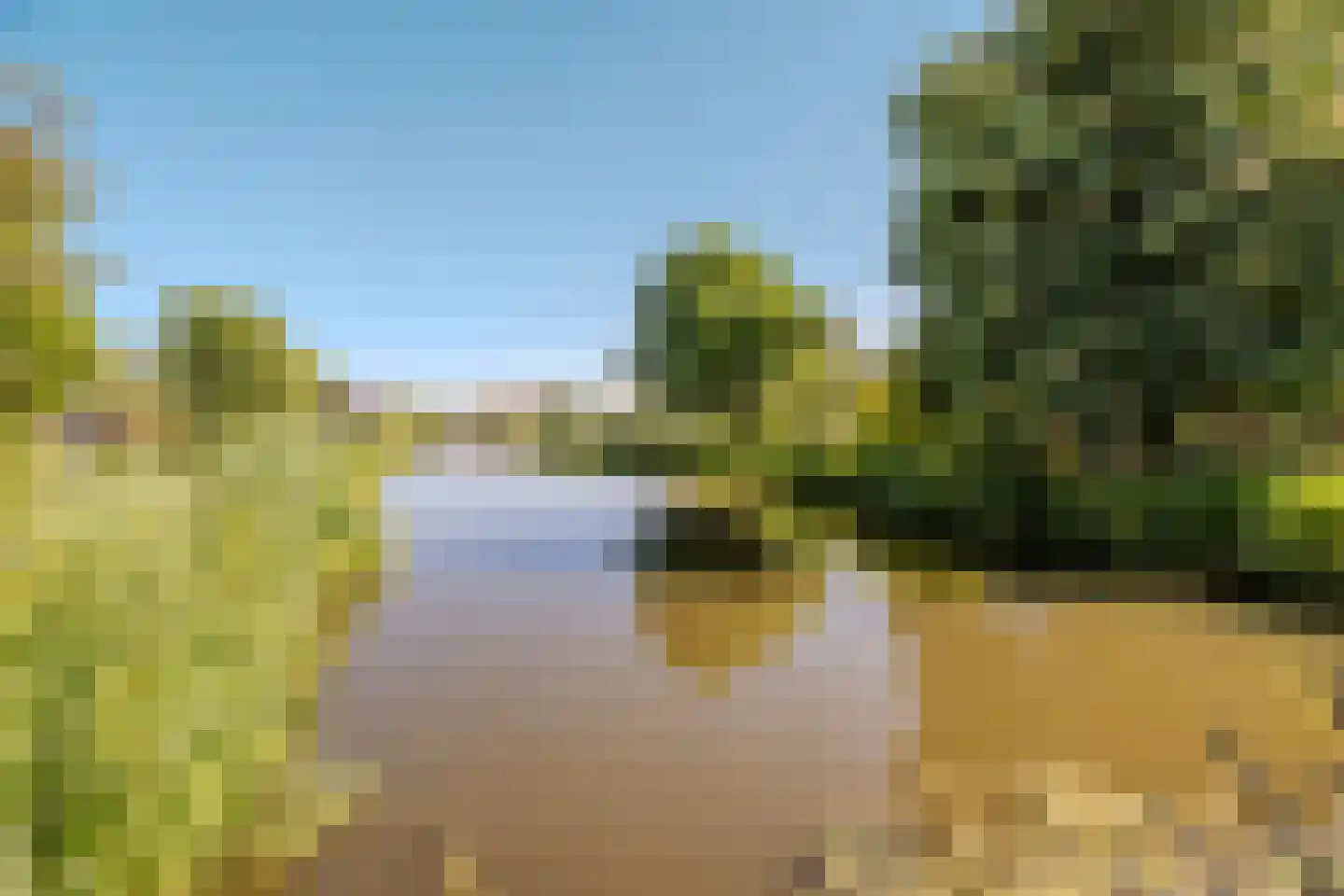 Polderweg 258 Schiedam thumbnail 80