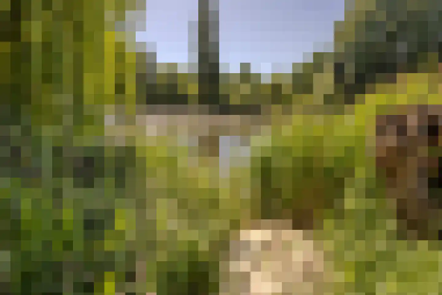 Polderweg 258 Schiedam thumbnail 81