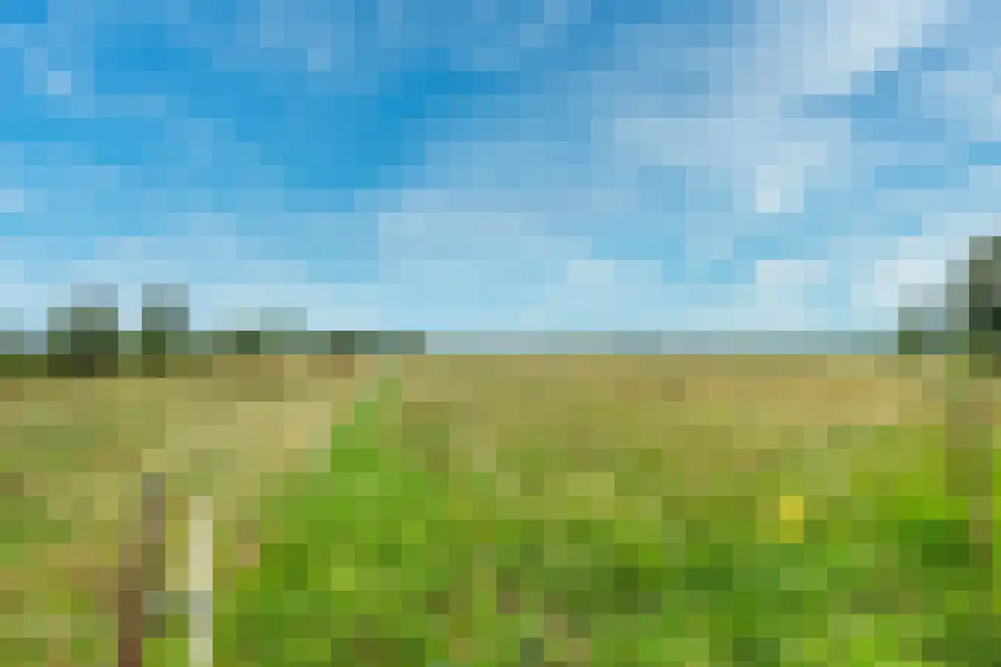 Polderweg 4 Haarzuilens thumbnail 37