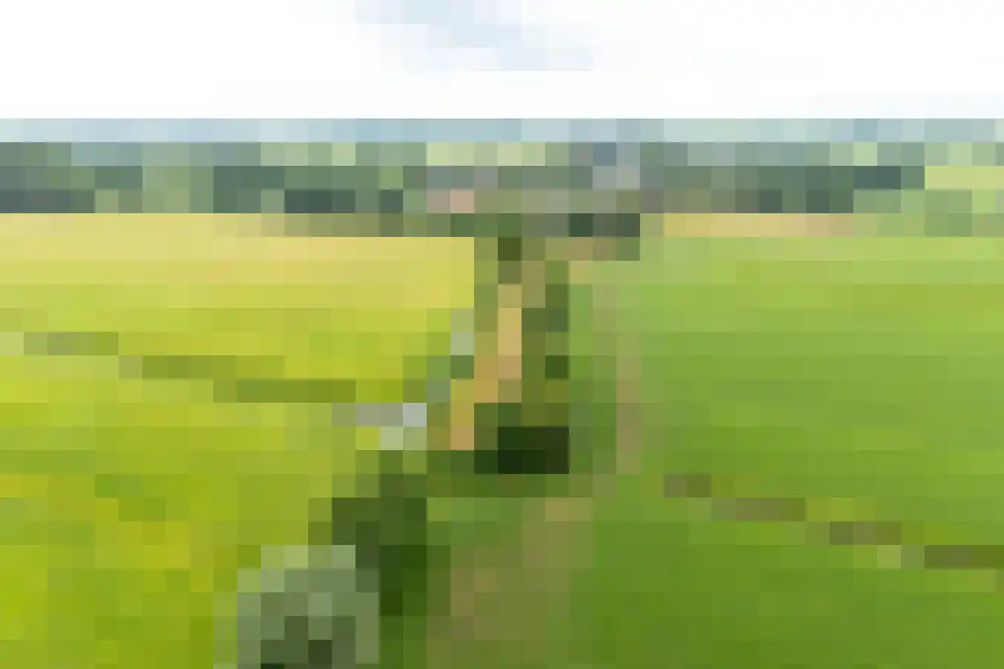 Polderweg 4 Haarzuilens thumbnail 39