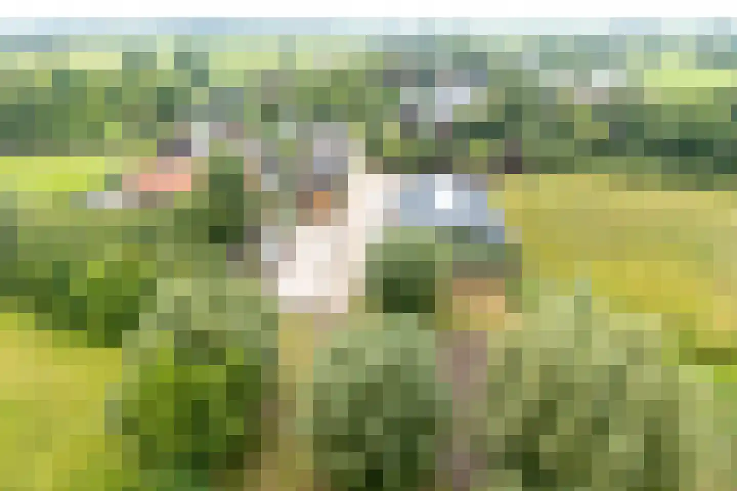 Polderweg 4 Haarzuilens thumbnail 40