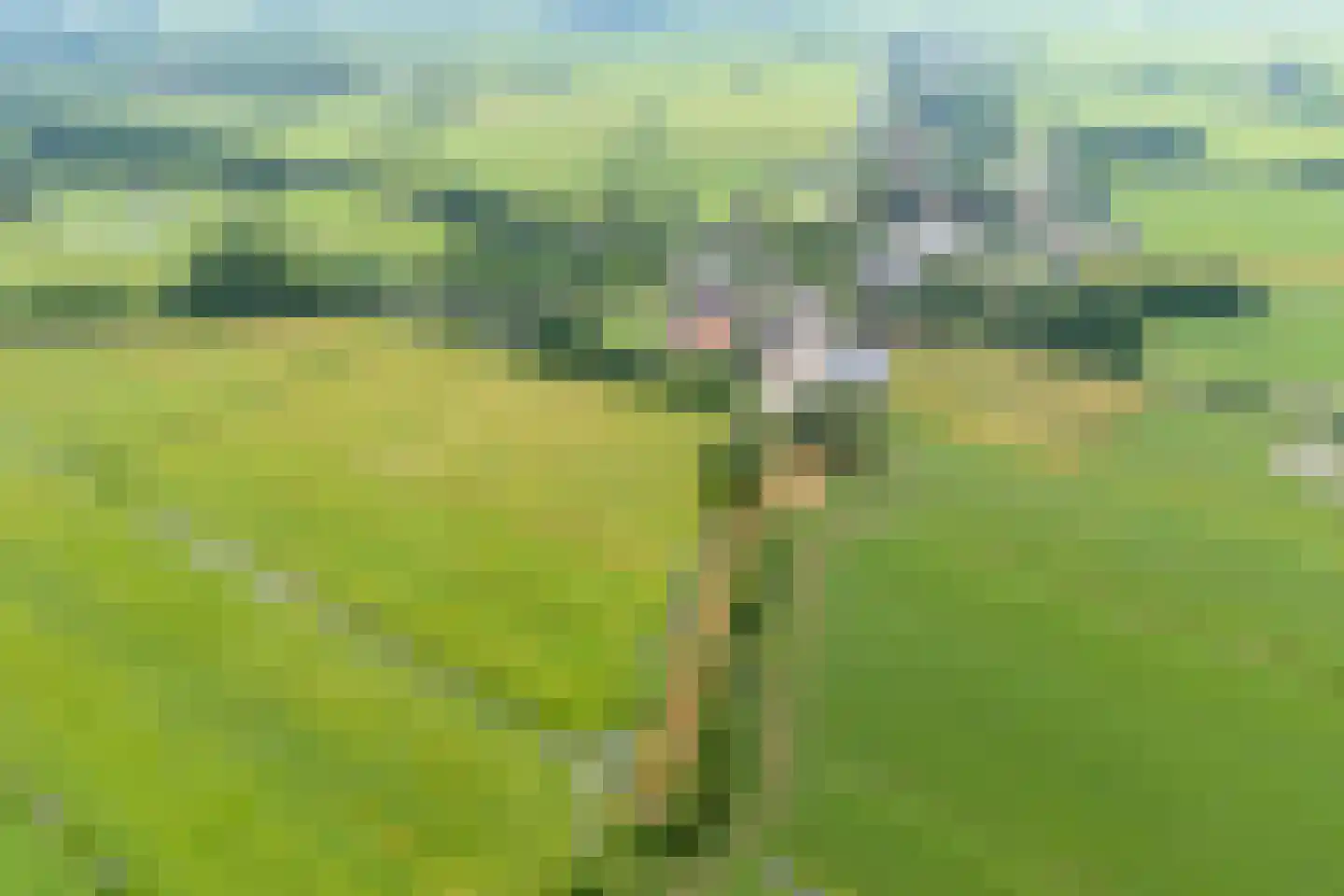 Polderweg 4 Haarzuilens thumbnail 43