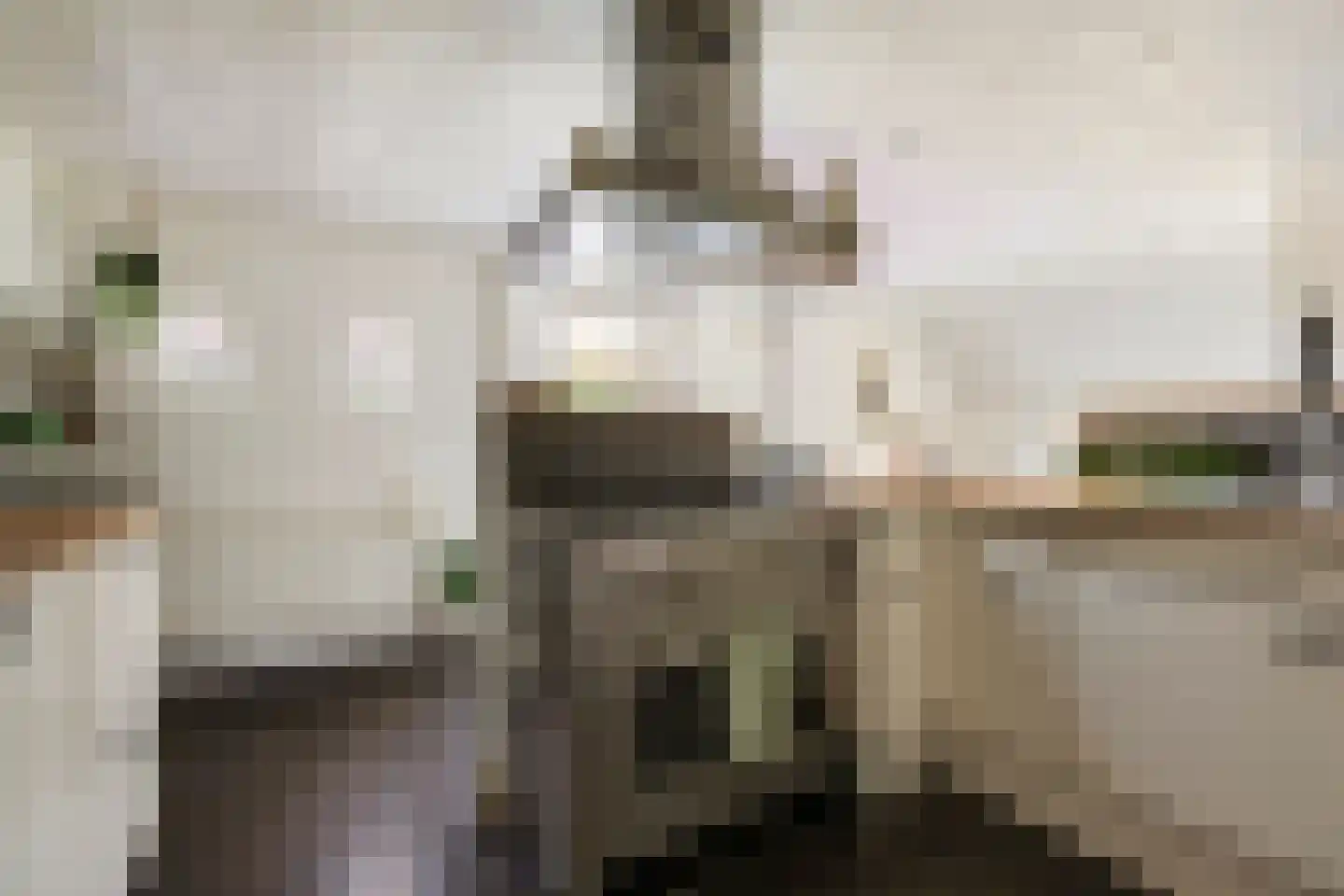 Polderweg 4 Lucaswolde thumbnail 16