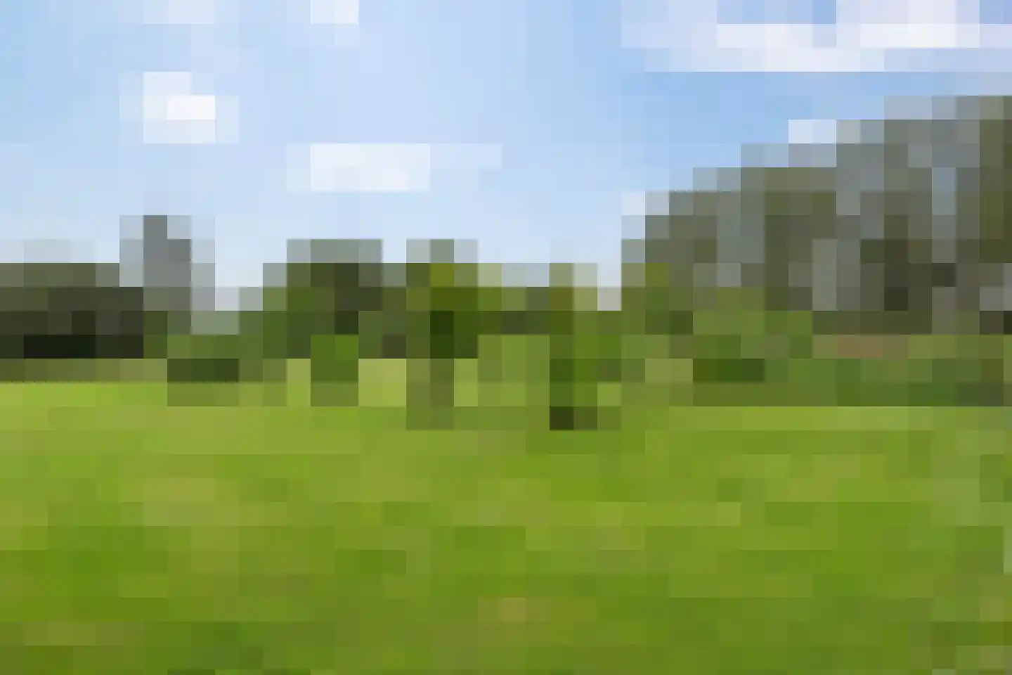 Polderweg 4 Lucaswolde thumbnail 38