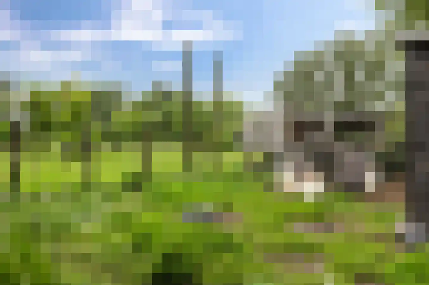 Polderweg 4 Lucaswolde thumbnail 39