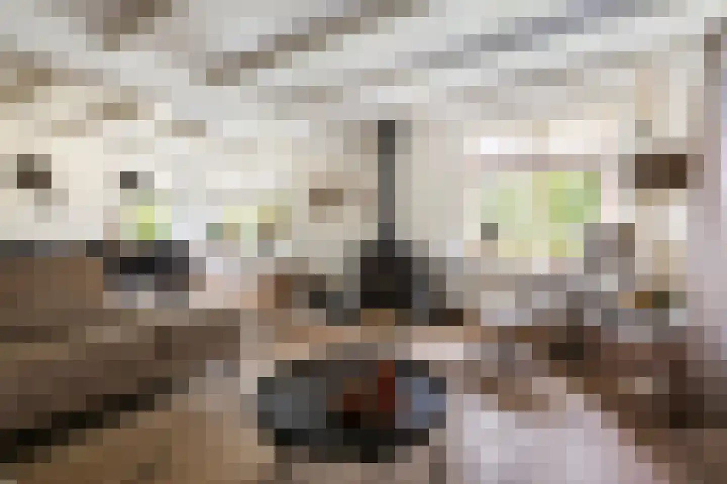 Polderweg 4 Lucaswolde thumbnail 4