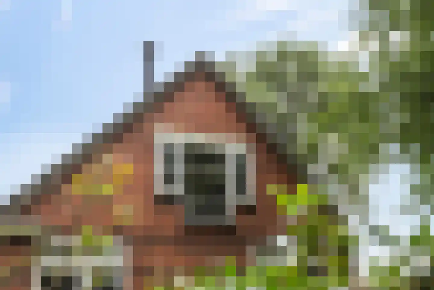 Polderweg 4 Lucaswolde thumbnail 49