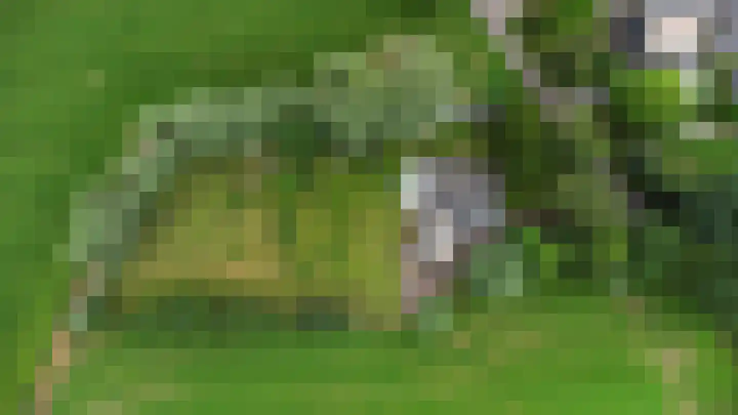 Polderweg 4 Lucaswolde thumbnail 50