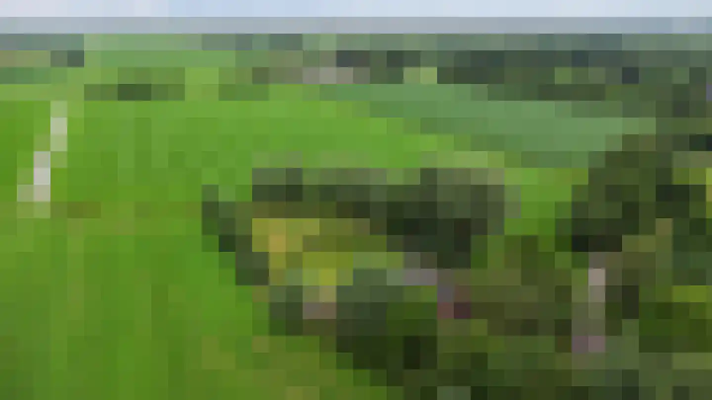 Polderweg 4 Lucaswolde thumbnail 51