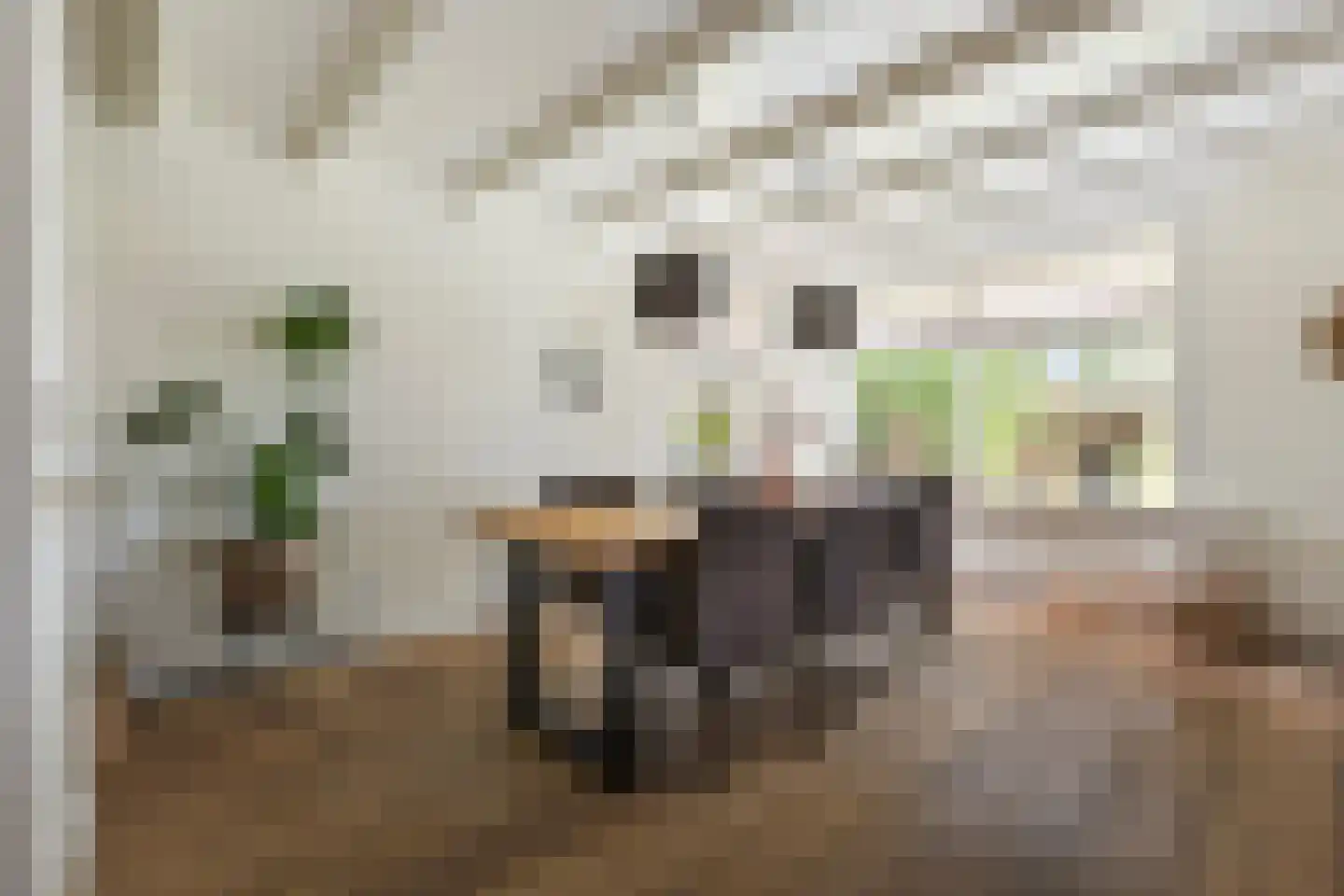 Polderweg 4 Lucaswolde thumbnail 7