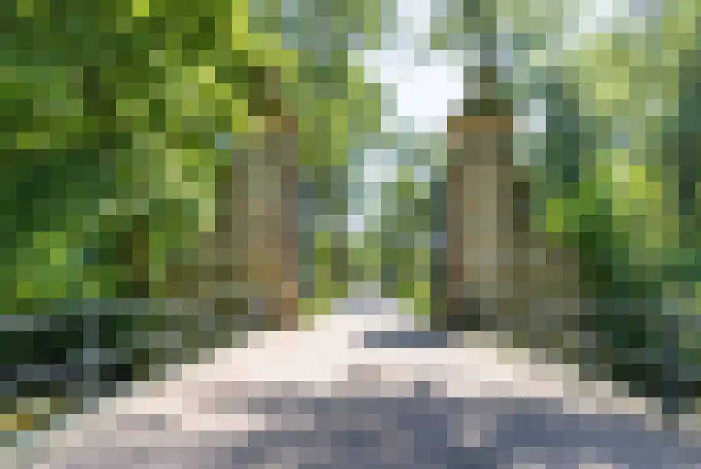 Polderweg 480 A Amsterdam thumbnail 38