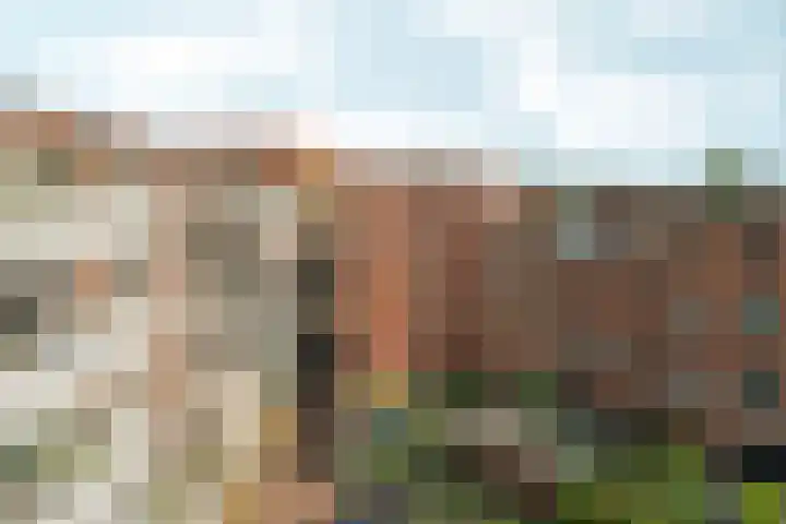 Polderweg 484 C Amsterdam thumbnail 33
