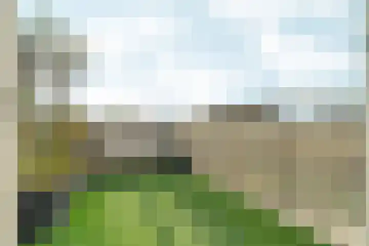 Polderweg 484 C Amsterdam thumbnail 4