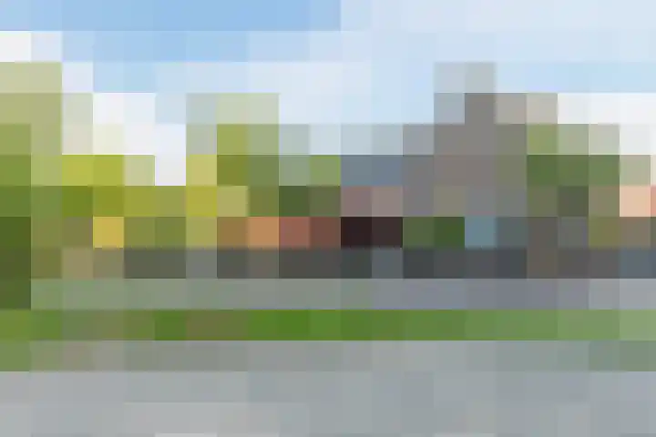 Polderweg 486 D Amsterdam thumbnail 43