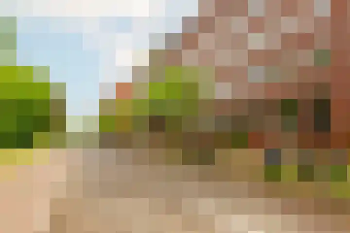 Polderweg 490 C Amsterdam thumbnail 22