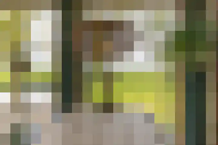 Polderweg 6 a Pijnacker thumbnail 46