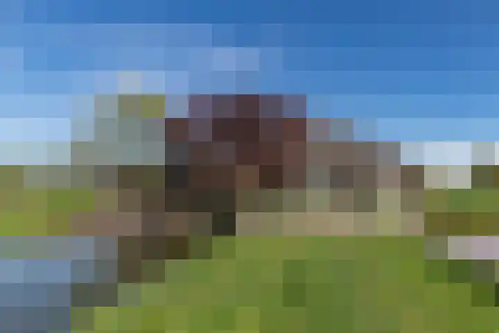 Polderweg 6 a Pijnacker thumbnail 47