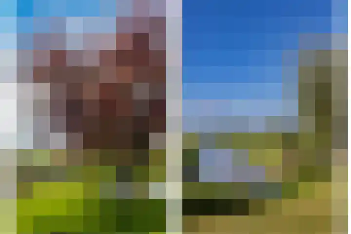 Polderweg 6 a Pijnacker thumbnail 48